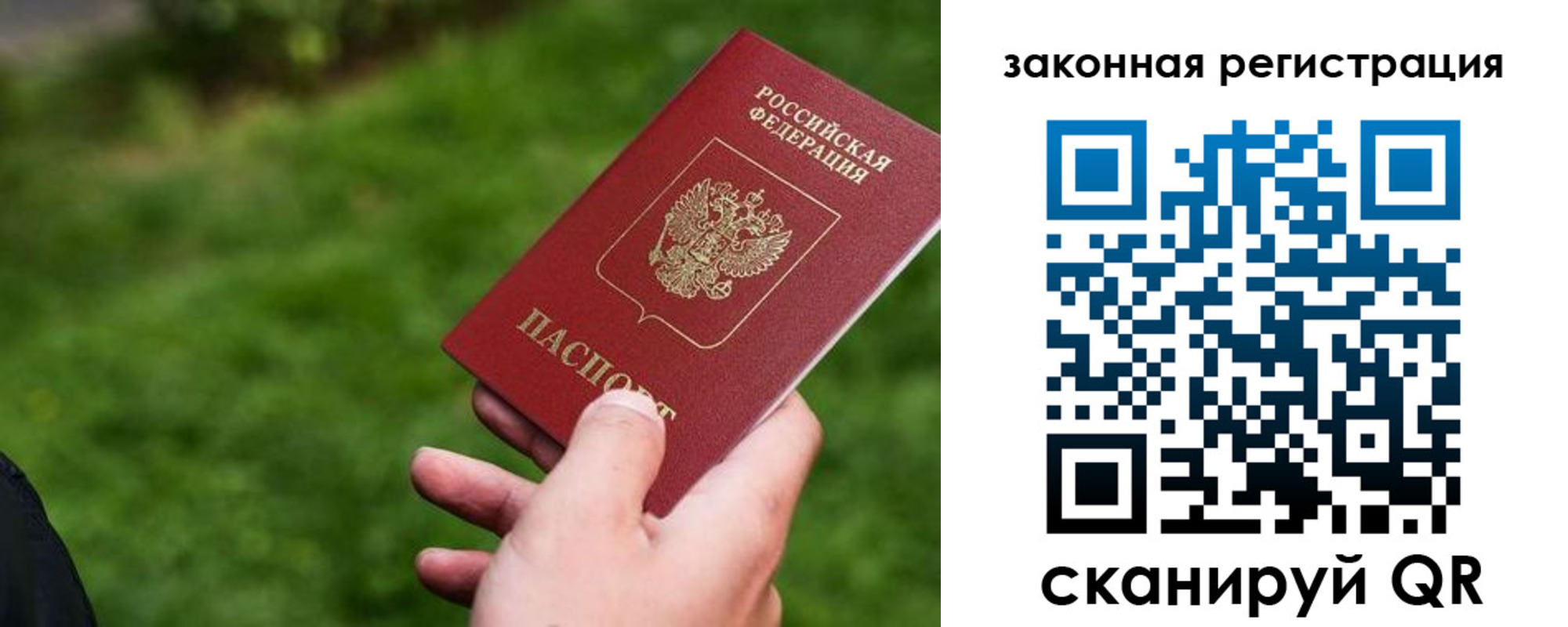 прописка законно в Михайловке